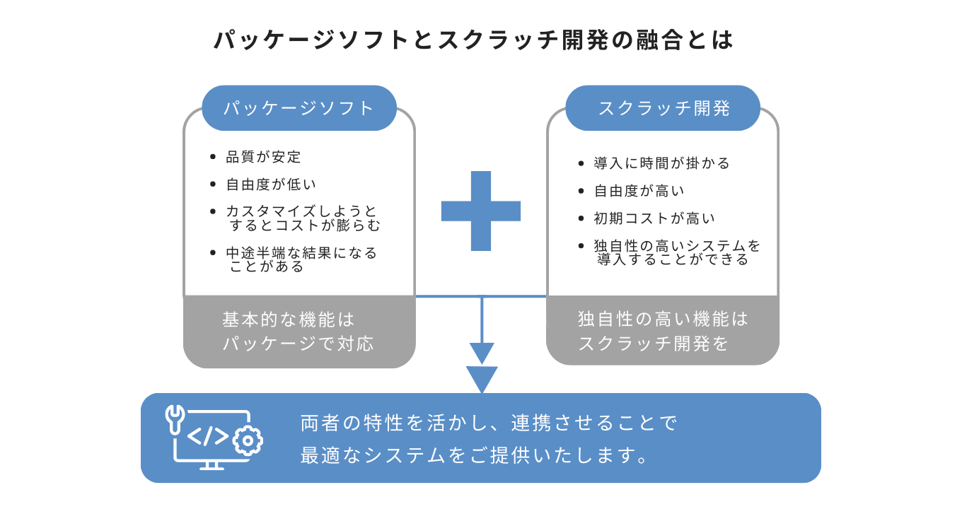 Integrating Packaged Software and Custom Development